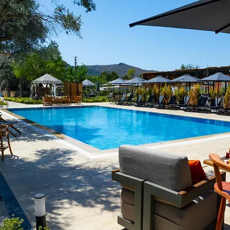 Homestay Thales