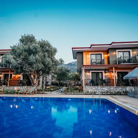 Thales Selimiye (Aegean)